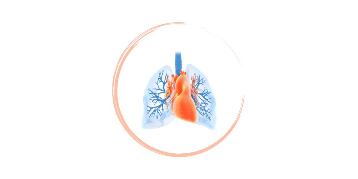 6th Pulmonary Hypertension Patient Meeting – Online